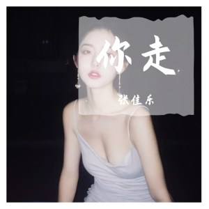 Listen to 你走 song with lyrics from 张佳乐