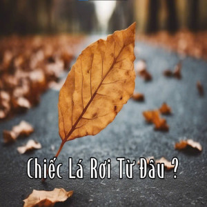 Listen to Chiếc Lá Rơi Từ Đâu ? song with lyrics from Duy Tuấn