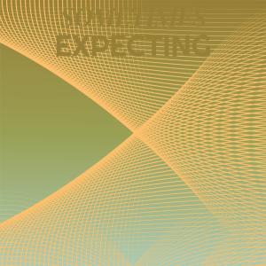 Various Artists的專輯Sometimes Expecting