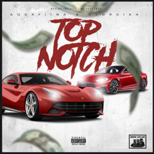Listen to Top Notch (Explicit) song with lyrics from Aquafiina