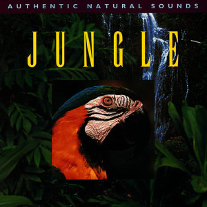 收聽Natural Sounds的Jungle歌詞歌曲