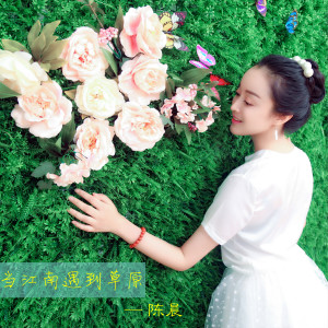 陈晨的专辑当江南遇到草原