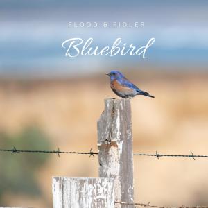 Flood的專輯Bluebird