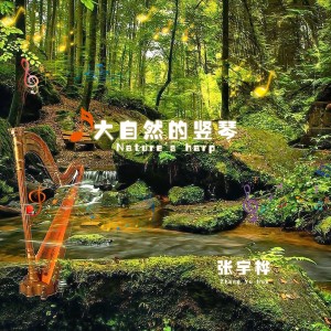 Dengarkan 跳舞草 (竖琴版) lagu dari 张宇桦 dengan lirik