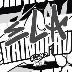 DJ LGS.的专辑Ela Vai no Pau (Slowed) (Explicit)