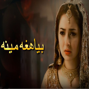 Album Biya Haga Meena from Sajjad
