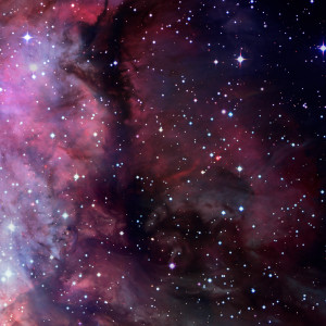 Album Dark Tree from Space Music For Sleep