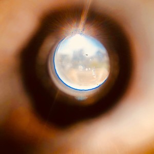 收聽Alexa Play的Electro Gamer歌詞歌曲