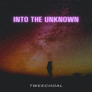 收聽tweechoal的Into the Unknown歌詞歌曲