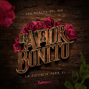 Album Un Amor Bonito from 