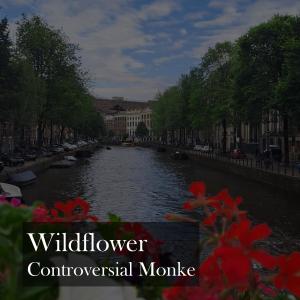 Album Wildflower (Explicit) from Controversial monke
