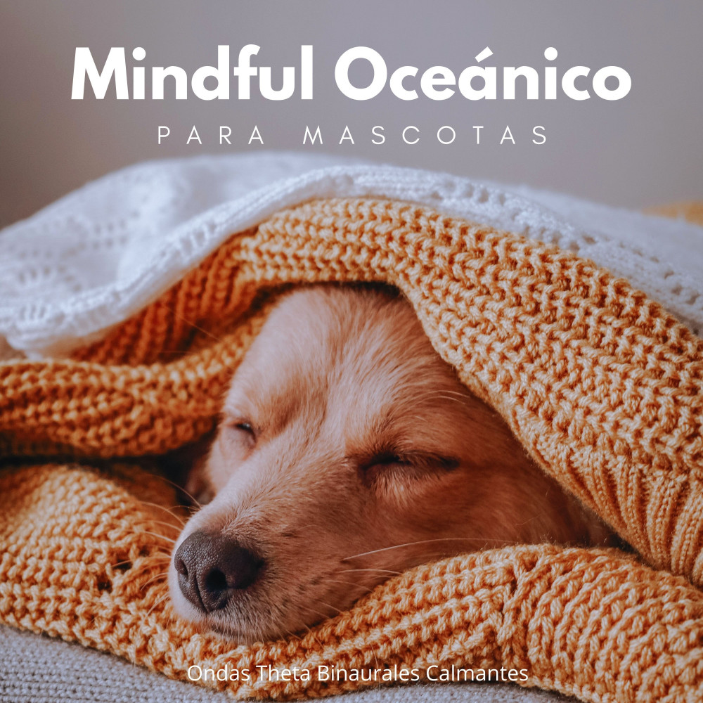 Tiempo De Noche Binaural