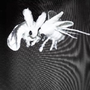 ดาวน์โหลดและฟังเพลง nobody but me (Explicit) พร้อมเนื้อเพลงจาก 80cry