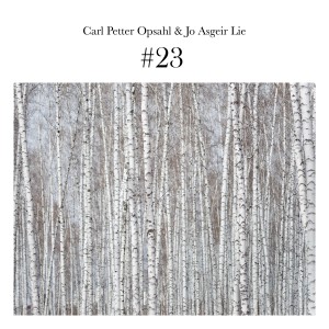 收聽Carl Petter Opsahl的Sigrid Høiberg歌詞歌曲