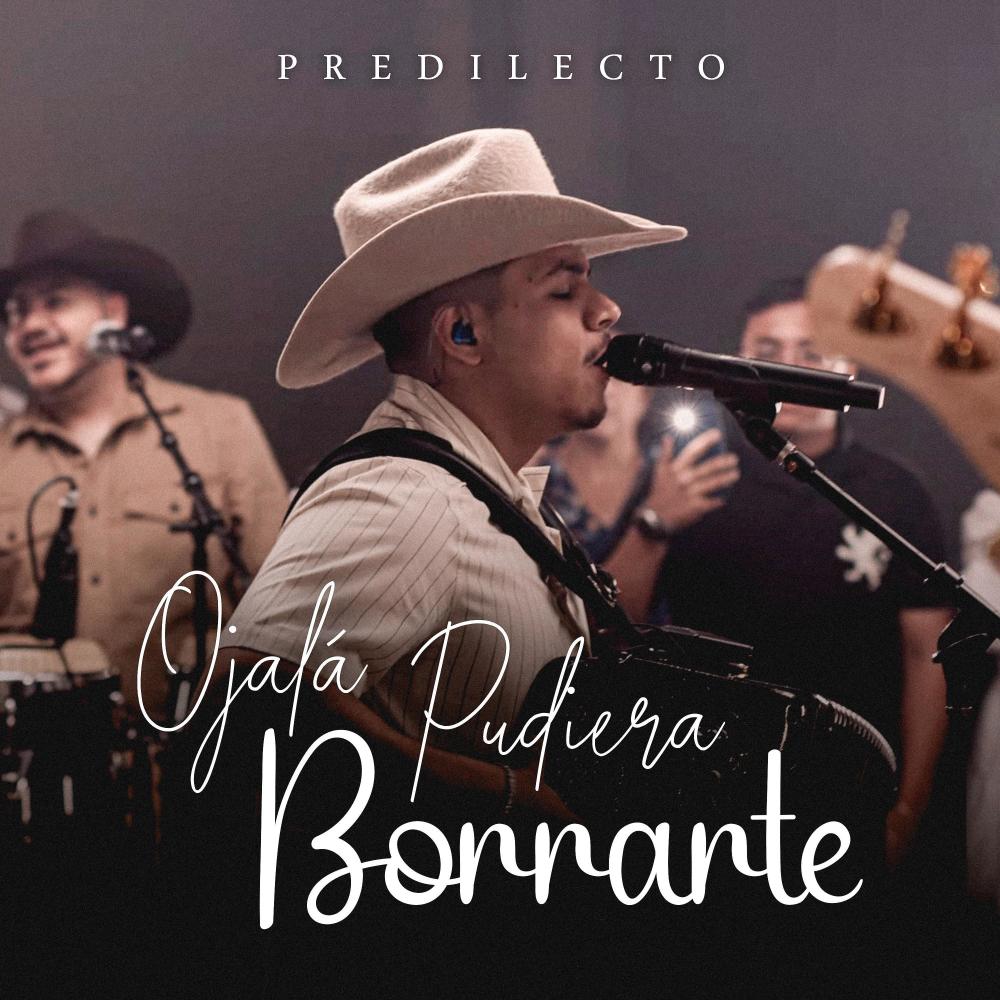 Ojalá Pudiera Borrarte