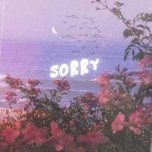 Album sorry (Explicit) from ry flora