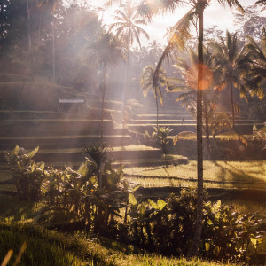 Dengarkan lagu Sounds of Mindfulness nyanyian Spa Music Relaxation dengan lirik