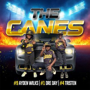 收听AYDEN WILKS的The Canes歌词歌曲