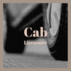 Various的专辑Cab Licensure