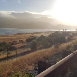 ดาวน์โหลดและฟังเพลง Fuzz พร้อมเนื้อเพลงจาก Penna