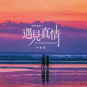 Listen to 遇见真情（粤语金曲） (完整版) song with lyrics from 许家豪