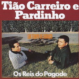 A Viola e o Violeiro