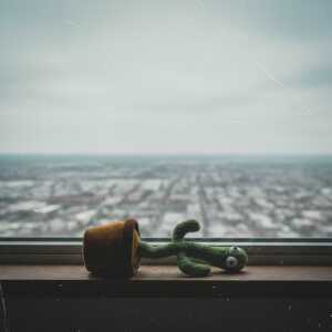 default playlist img