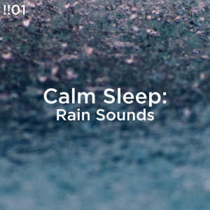 ดาวน์โหลดและฟังเพลง Asmr Rain Water พร้อมเนื้อเพลงจาก Rain Sounds