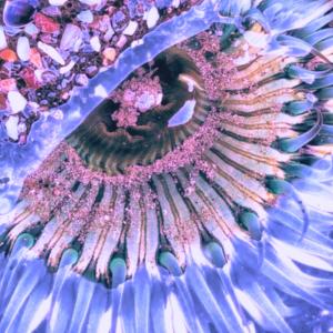 收聽Andy Fischer-Price的Sweet Mystery歌詞歌曲