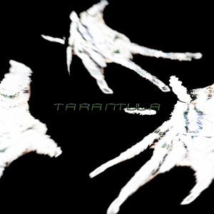 cwar的專輯TARANTULA