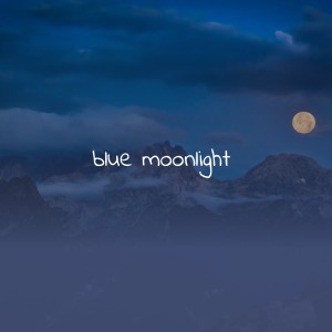 ดาวน์โหลดและฟังเพลง Blue Moonlight พร้อมเนื้อเพลงจาก Billy Walker