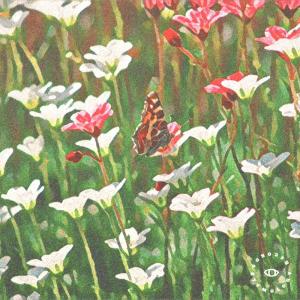 Album Breathtaking from Spinmont