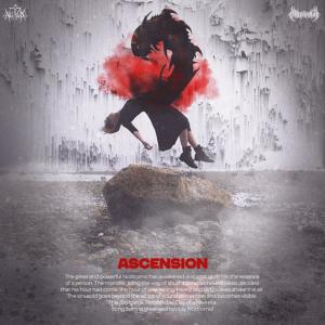 收聽Noxtromo的Ascension歌詞歌曲