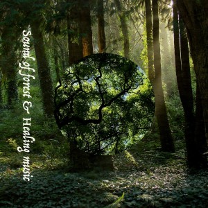 Listen to Maple Part6 (feat. sorateras) song with lyrics from ALL BGM CHANNEL