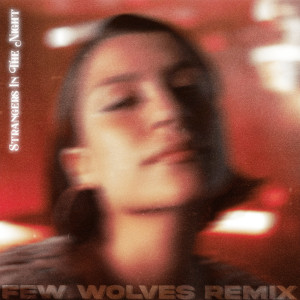 Ericka Jane的專輯Strangers In The Night (Few Wolves Remix)
