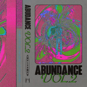 Various Artists的專輯Abundance Vol. 2