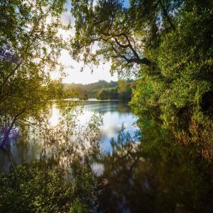 20x Stress Control Solutions | Mindfulness Music dari Nature Sounds Nature Music