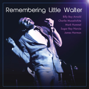 ดาวน์โหลดและฟังเพลง It's Too Late Brother พร้อมเนื้อเพลงจาก James Harman