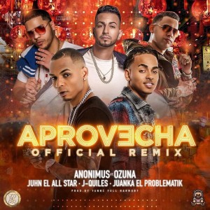 ดาวน์โหลดและฟังเพลง Aprovecha (Remix) พร้อมเนื้อเพลงจาก Anonimus