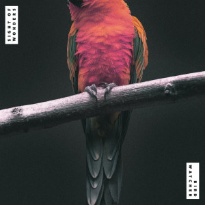Album Bird Watcher from Sight of Wonders