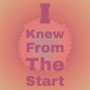 Album I Knew From The Start oleh Silvia Natiello-Spiller