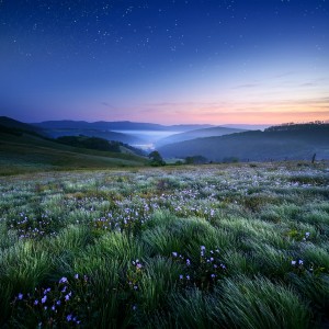 Soothing ASMR的專輯Orchestra Of The Eternal Night: Mystical Symphonies For Quiet Reflection