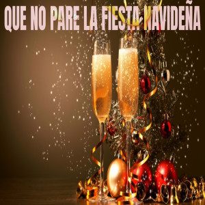 Various Artists的專輯Que no pare la Fiesta Navideña