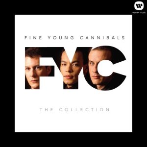 Fine Young Cannibals的專輯The Collection