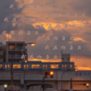 Album 我在你身后 (治愈少女版) from 林书鱼