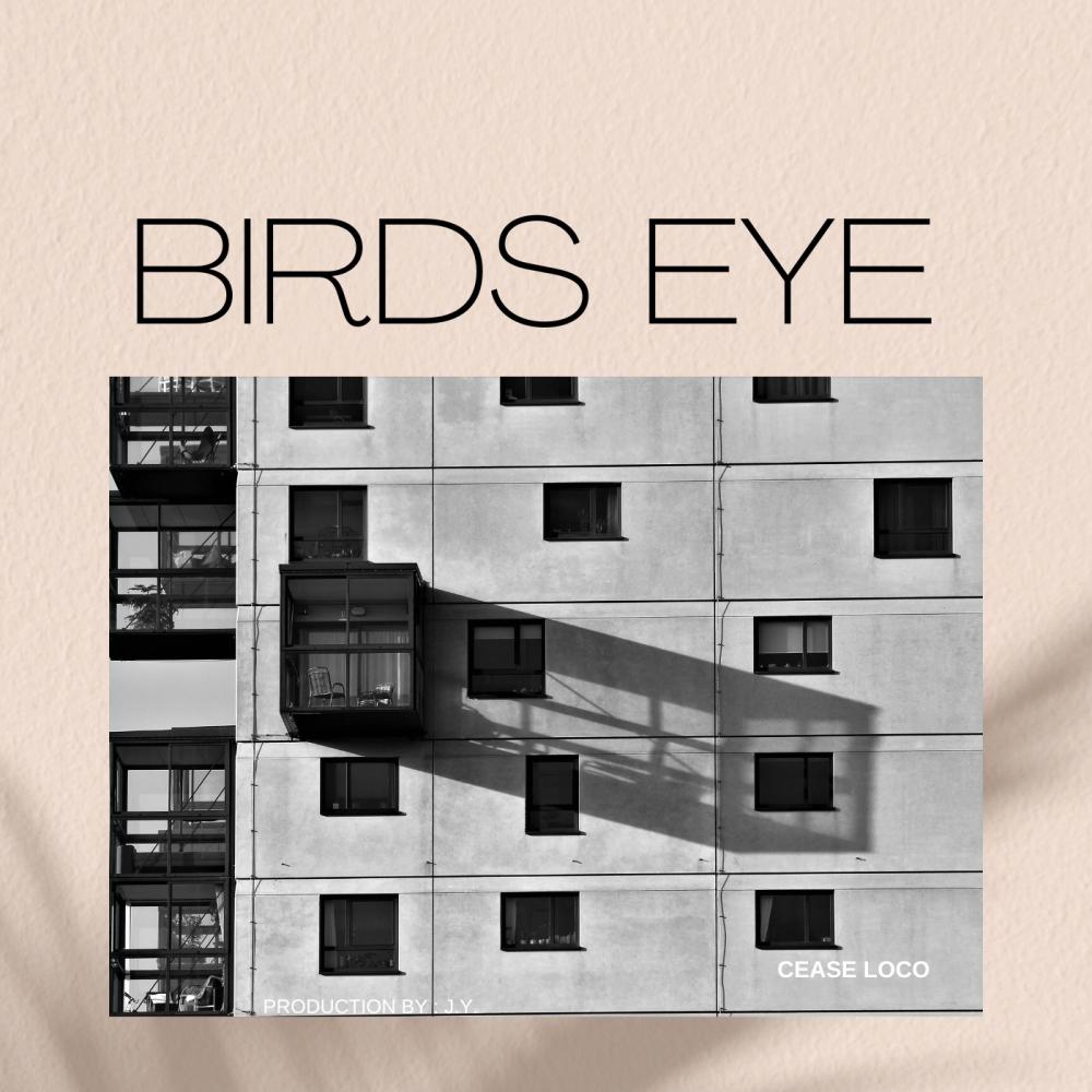 Birds Eye (feat. Cease Loco) (Explicit)