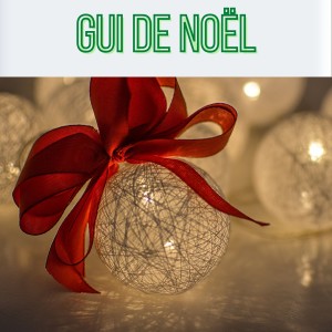 Listen to Foi a Noite song with lyrics from Silvia Teles