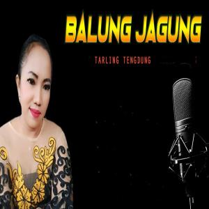 ดาวน์โหลดและฟังเพลง Balung Jagung Tarling Tengdung พร้อมเนื้อเพลงจาก Tarling Cirebonan
