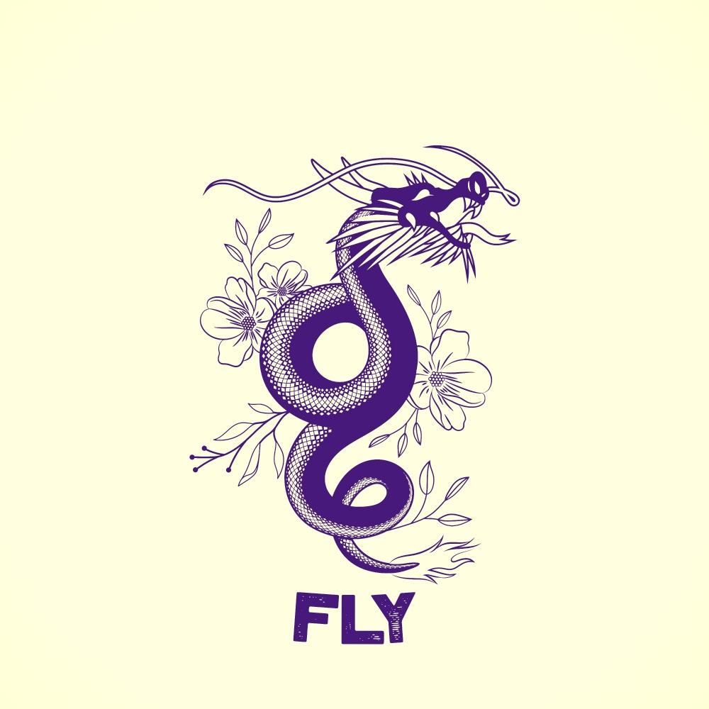 fly