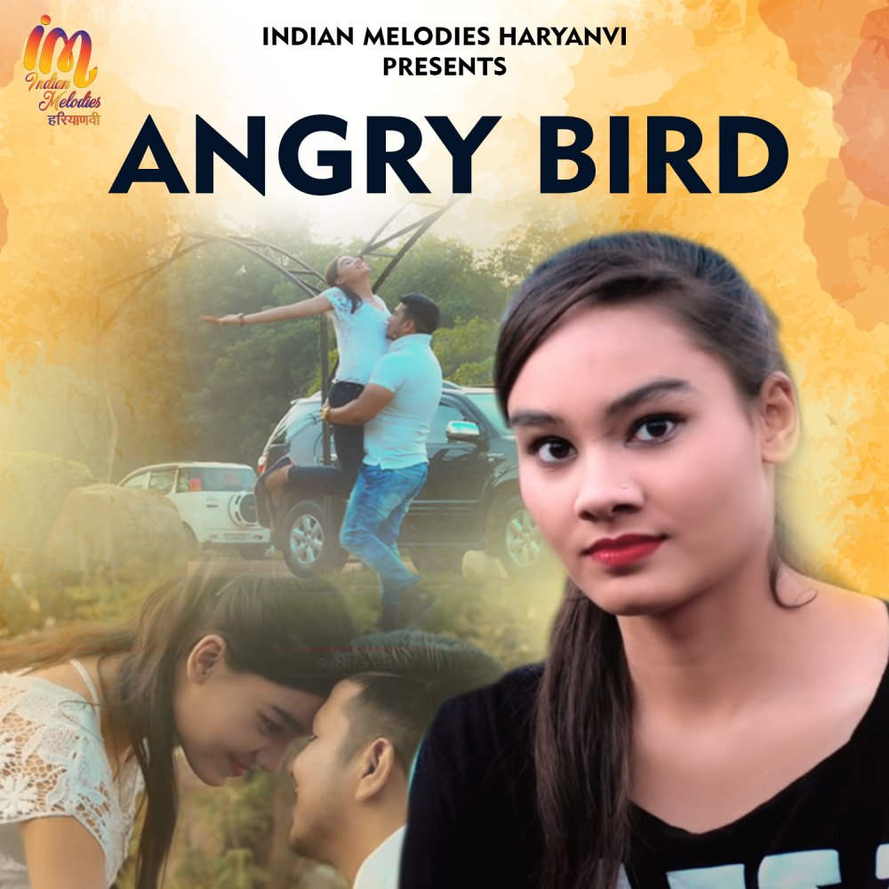 Angry Bird (其他)